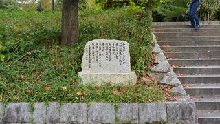 賑やかで活気のある界隈