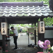 上野東照宮のぼたん苑の入口です。受付で、入園料を支払います。
