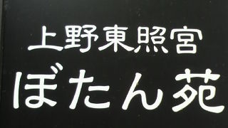 上野東照宮のぼたん苑は、社殿に向かう参道の西側にあります。