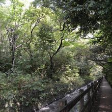 川沿いの道を歩いていきます。