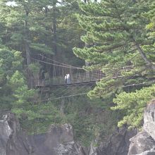 海岸から見た吊橋です。