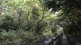 少し歩きますが、海と吊橋は絶景です。