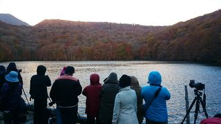 壮絶な場所取り争い