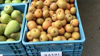 見ているだけでも楽しい