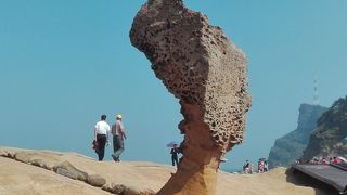 台北からタクシーで1時間ぐらいです