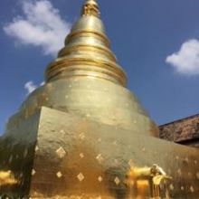 金色がまぶしい