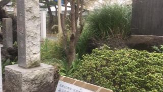 線香の煙が消えていった命を弔っています。