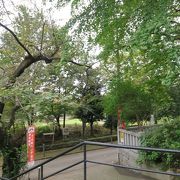 仙川沿いの緑豊かな公園