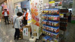 海産物やチューリップ