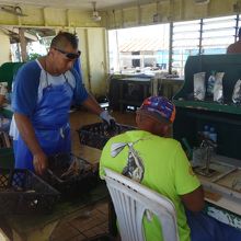 養殖の見学可！