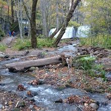 下流から見た銚子大滝