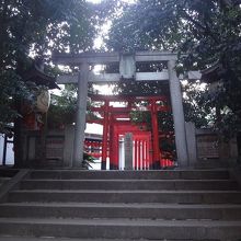 入り口の向こうは有名な赤い連続鳥居が待ち受ける