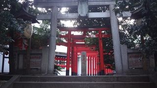 京都の伏見稲荷のミニチュアみたい