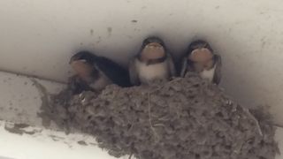 いつも駐車場は満杯