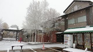 美術館賞の後は２階のレストラン「ふらのグリル」で昼食を。