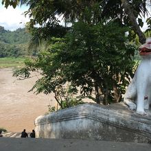 対面の皮のそばにも狛犬