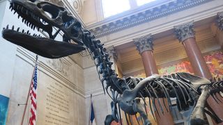 ナイトミュージアム！