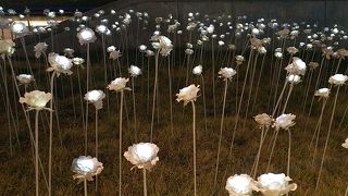 ロマンチック。