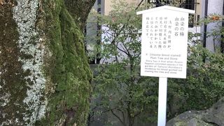 朝の内匠頭の切腹で