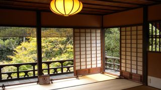 週末だけ拝観可能な九条家遺構「拾翠亭」