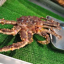生きたタラバガニ