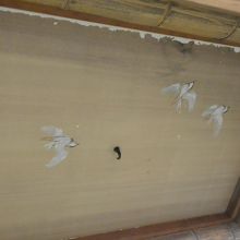 床の間の天井の雀の絵