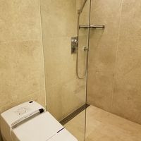 シャワーのみ。トイレとの仕切りが短いのが残念でした。