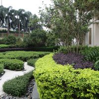 中庭は散歩にピッタリ