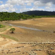 東側は名蔵アンパル。