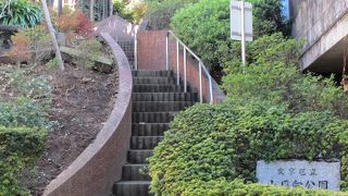 小さな公園ですが・・・