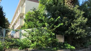 荒れていました