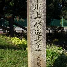 遊歩道もありました