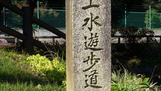 綺麗な流れでした