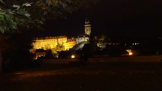 ライトアップされたお城がよく見えました。