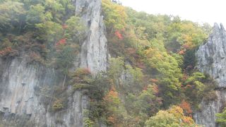 来年のお楽しみ