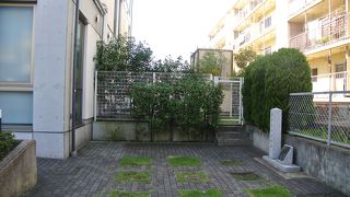 幕末ファンには興味深い