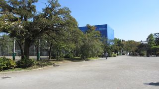 砂埃がたっていました。