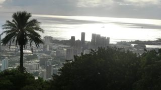 お昼もオススメ