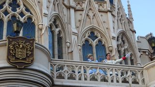 東京ディズニーランドのシンボルです