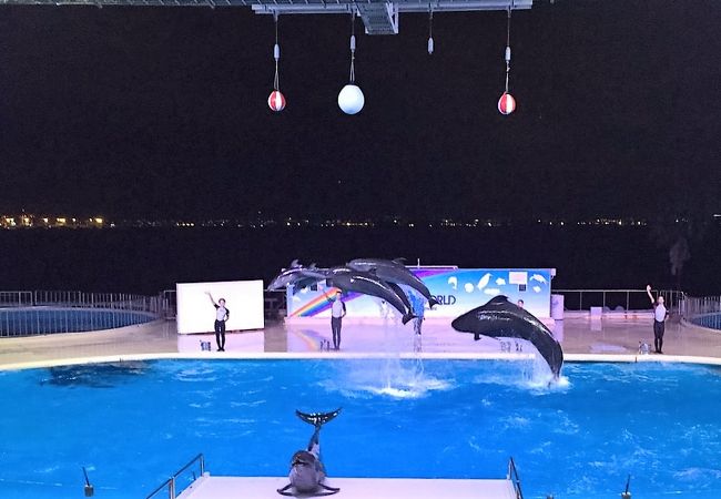 マリンワールド海の中道 夜の水族館 クチコミ アクセス 営業時間 博多 フォートラベル マリンワールド海の中道 夜の水族館 クチコミ アクセス 営業時間 博多 フォートラベル