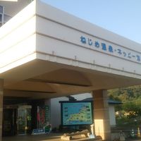 ねじめ温泉・ネッピー館 写真