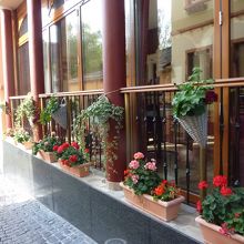 通りに面した窓には花が飾られている店が多いです