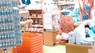 カピバラさんに癒されます。