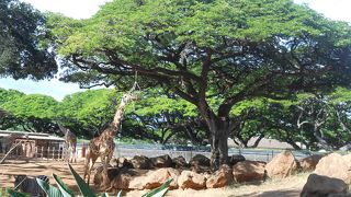 のんびりできます