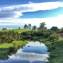 六花亭がやっている六花の森
