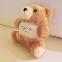 お約束のこれと、バスルームにアヒルが置いてありました