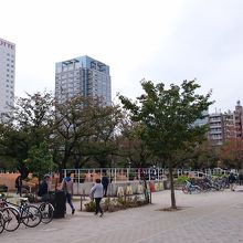 とても広い公園