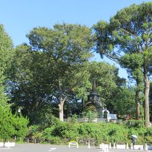 上野大仏とパゴダのある　大仏山