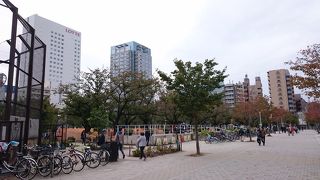 広くて快適な都心の公園