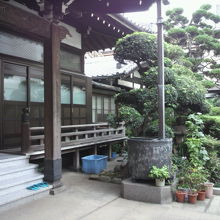 西照寺の本堂には、手入れの良い庭木や植栽が植えられています。